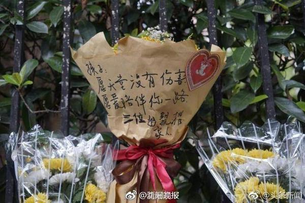 中超夏窗转会费前十：米特里策200万欧成标王，多笔租借转会入榜